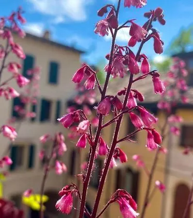 Residenza Della Corticella Verona