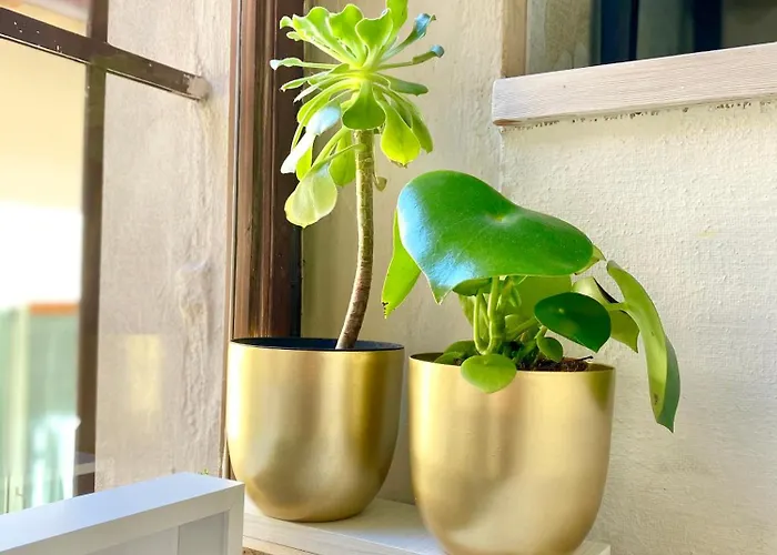 Residenza Della Corticella Verona